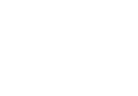 Auto Glass Now