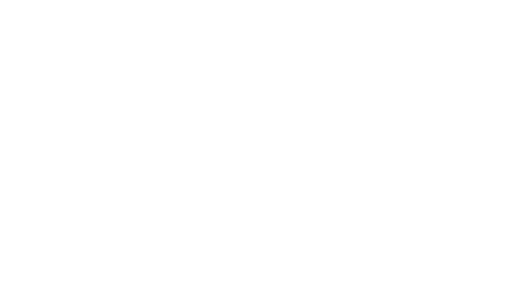 Fix Auto